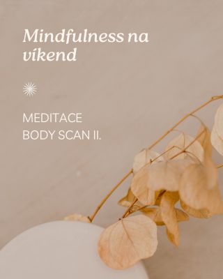 Meditace Body Scan II – Projděte tělem krok za krokem Kolikrát za den se skutečně zastavíte a vnímáte své tělo? Většina z...